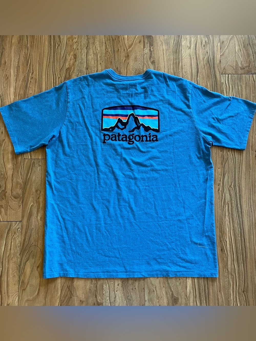 Patagonia Fitz Roy horizons t-shirt